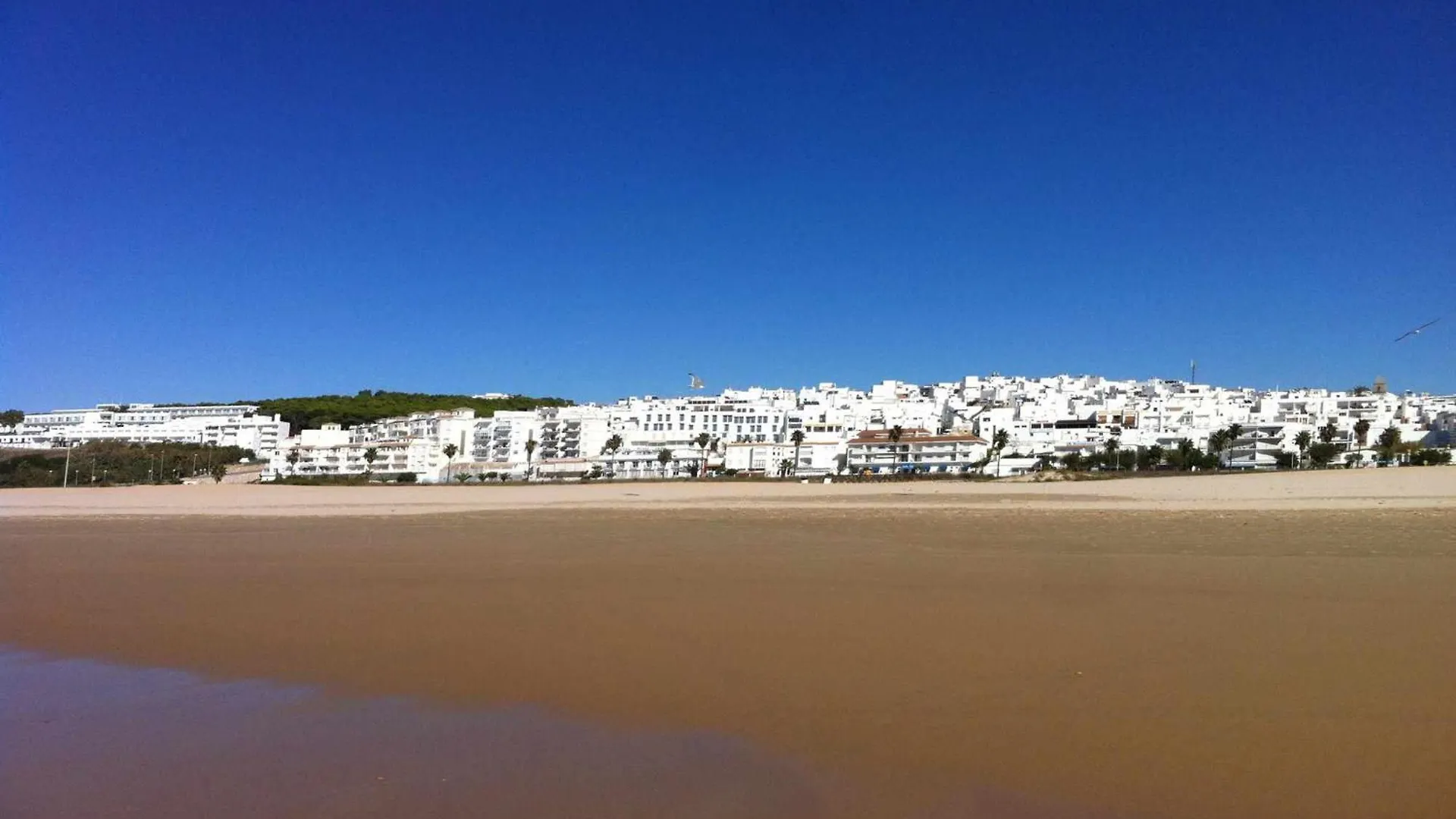 Apartamento Marina 1 Atico de Lujo independiente Vistas al mar Piscina Conil De La Frontera España